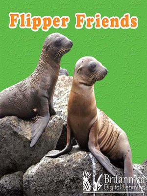 cover image of Flipper Friends